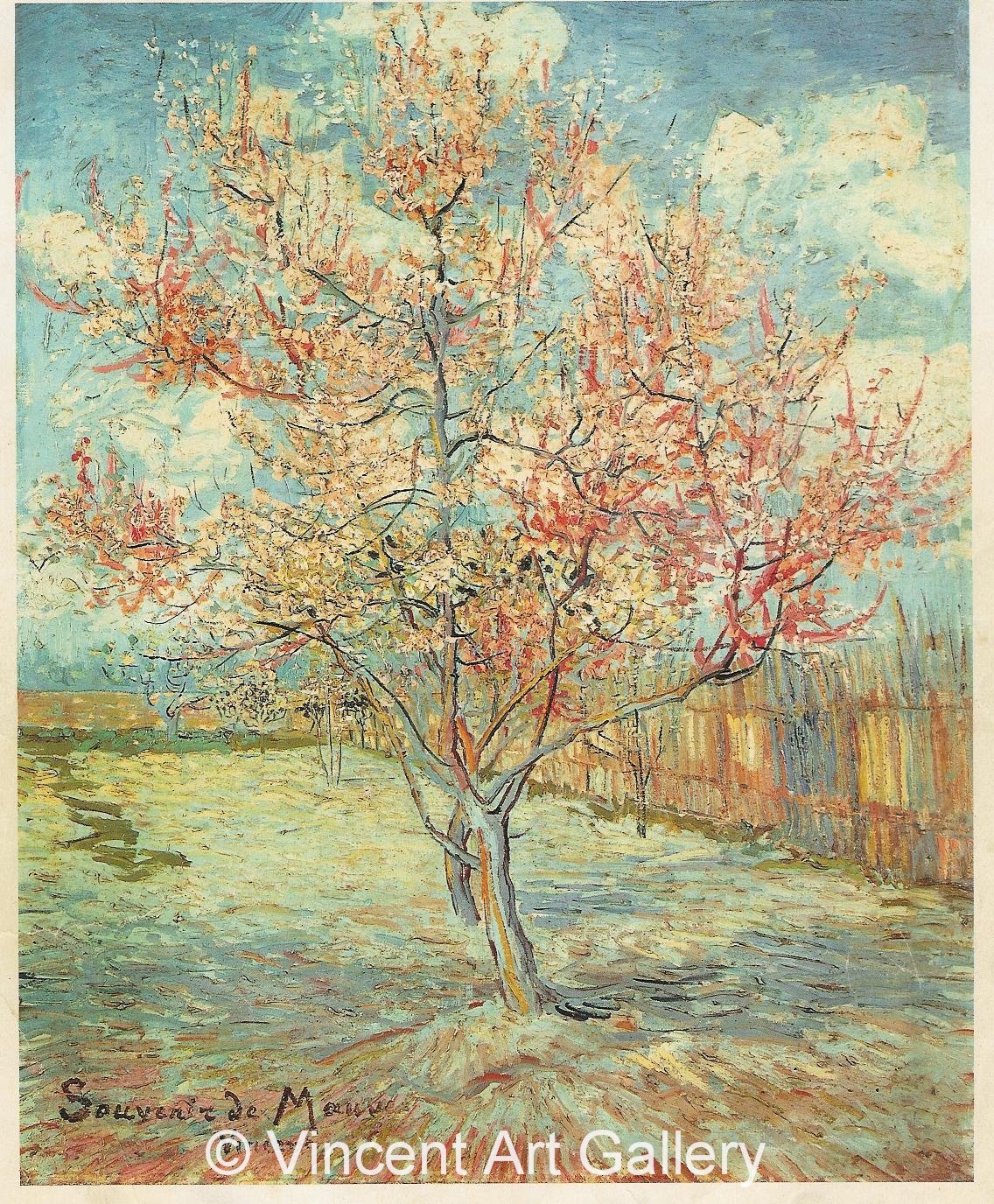 JH1379, Pink Peach Tree in Blossom (Reminiscence of Mauve)